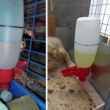 Поилка навесная с емкостью 0,5 л в клетку пластик для кур и домашней птицы