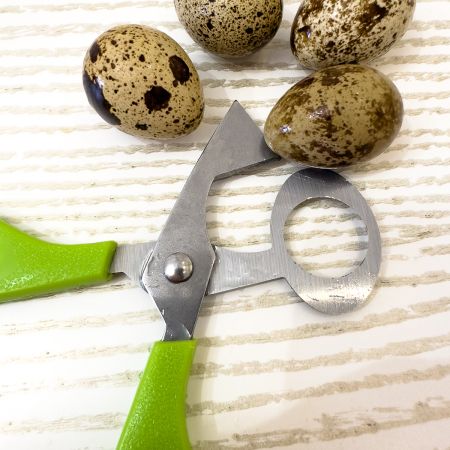 Ножницы для перепелиных яиц