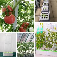 Гидропонная установка HobbyFarm DQ61003, домашний умный смарт сад, 3 ячейки