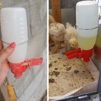 Поилка навесная с емкостью 0,5 л в клетку пластик для кур и домашней птицы