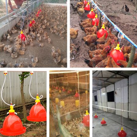 Поилка колокольная автоматическая Ø36.5, H33см