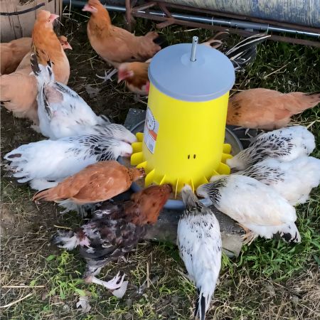 Кормушка бункерная ARCUS 15 кг пластик с разделительной решеткой