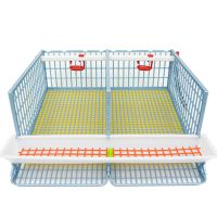 Клетка Comfortplast для перепелов midi с яйцесборником 2 секции, 58x61x46 см, пластиковая