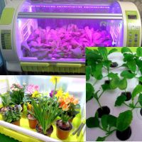 Гидропонная установка Rfarm 850 MAX