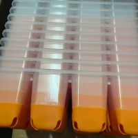 Мини парник HobbyFarm, 12 ячеек, для рассады, с силиконовым основанием, оранжевый, 10 шт.