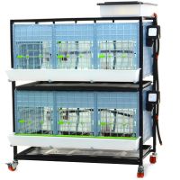 Брудер для цыплят CB40 3 секции, 2 яруса, 98x64x119 см, пластиковый