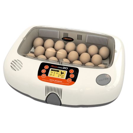 px-20