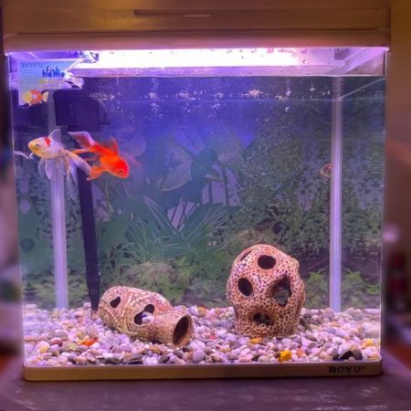 Аквариум Boyu MS-520 45 л с LED светильником и фильтром, белый Аквариум Boyu MS-520 45 л с LED светильником и фильтром, белый