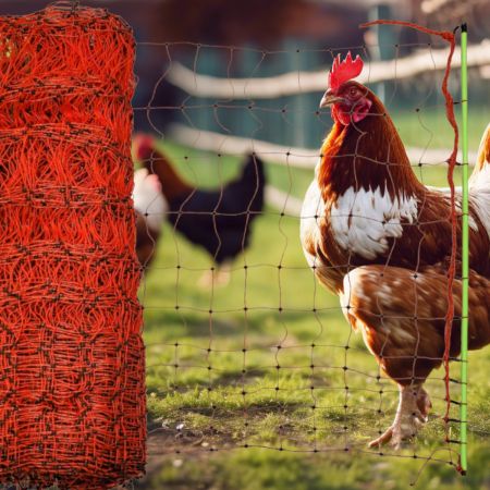 Сеть к электропастуху для птицы Olli, 112 см / 50 м