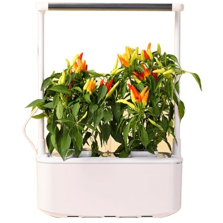 Гидропонная установка HobbyFarm Mini DQ6200-LB-2, домашний умный смарт сад, 2 ячейки, с фитолампой