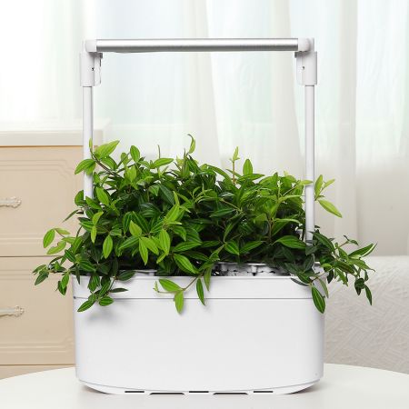 Гидропонная установка HobbyFarm Mini DQ6200-LB-2, домашний умный смарт сад, 2 ячейки, с фитолампой