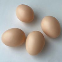 Подкладное яйцо для кур 1 шт.