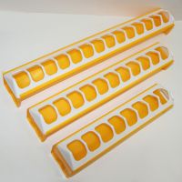 Кормушка-поилка лотковая 50 см пластик для цыплят