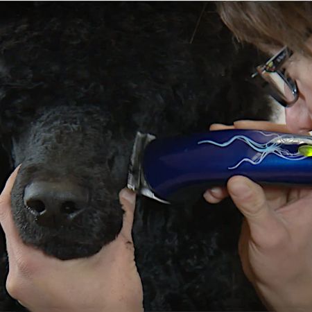 Триммер Heiniger Style Midi для стрижки лап, глаз и хвоста собак, кошек