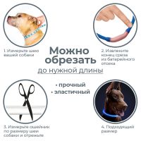 Ошейник светящийся светодиодный для собак с USB зарядкой 50 см, синий