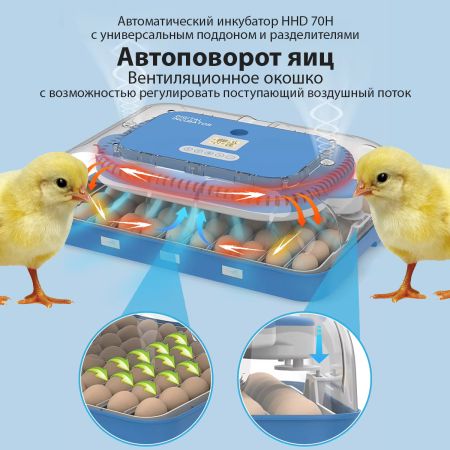 Инкубатор HHD 70H автоматический на 70 яиц, с контролем влажности и овоскопом на 220В/12В от сети и аккумулятора