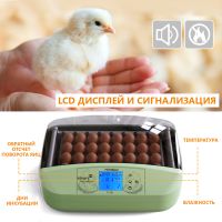 Инкубатор HHD 32 Wonegg автоматический для яиц с роликовым лотком, зеленый, на 32 яйца