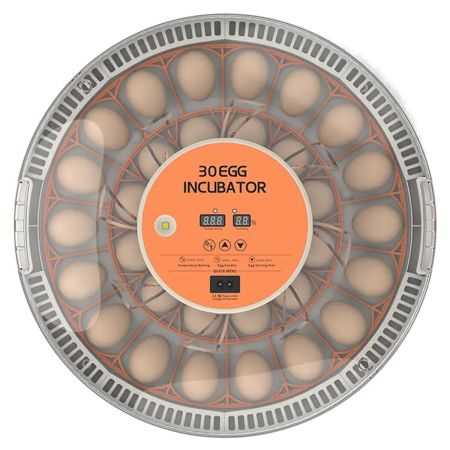 Инкубатор HHD 30H WONEGG автоматический с овоскопом на 30 яиц