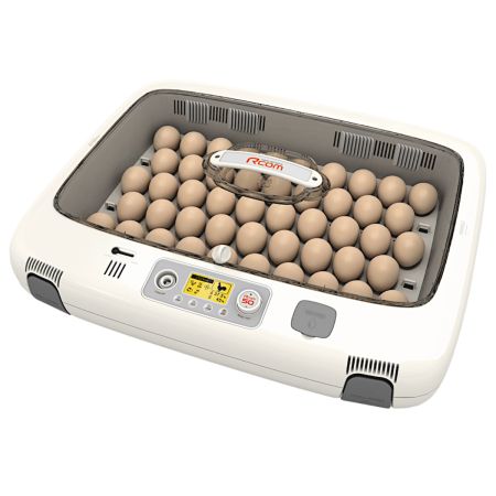 Инкубатор Rcom 50 DO PRO с овоскопом автоматический для яиц