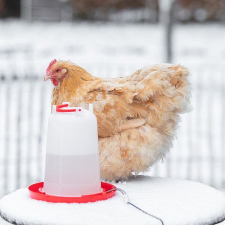 Нагревательный кабель для поилок 5 Вт 