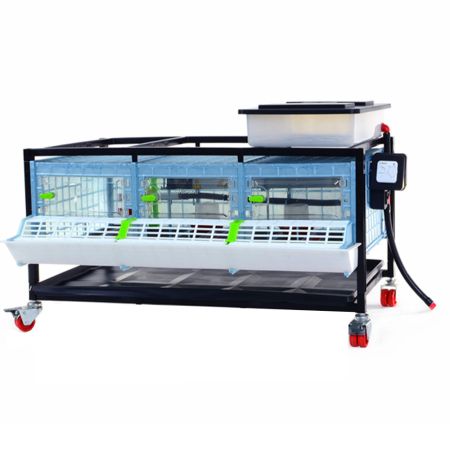 Брудер для цыплят CB25 3 секции, пластиковый