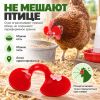 Очки от расклева для птиц, кур, петухов, фазанов со стрелой, 25 шт.