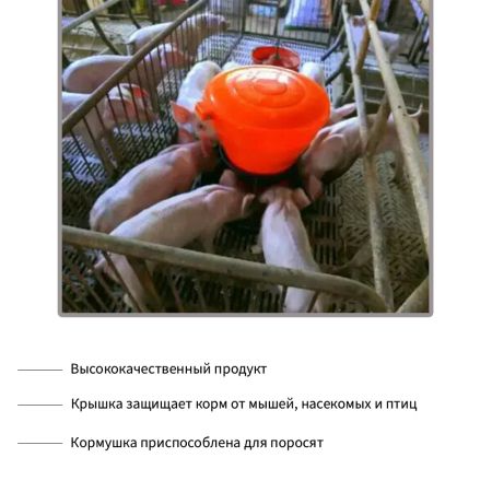 Кормушка бункерная 5 кг, пластик, для поросят