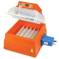 Инкубатор Covatutto 24 автоматический цифровой, уценка