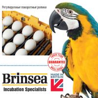 Инкубатор Brinsea Ovation 56 Zoologica Инкубатор Brinsea Ovation 56 Zoologica