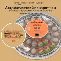 Инкубатор HHD 30H WONEGG автоматический с овоскопом на 30 яиц