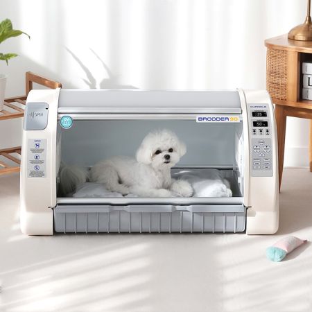 Брудер инкубатор для животных Curadle Pet Brooder 90 / 4-е поколение Брудер инкубатор для животных Curadle Pet Brooder 90 / 4-е поколение