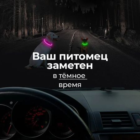 Ошейник светящийся светодиодный для собак с USB зарядкой 70 см, прозрачный с синим
