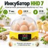 Инкубатор HHD 7 мини автоматический на 7 яиц