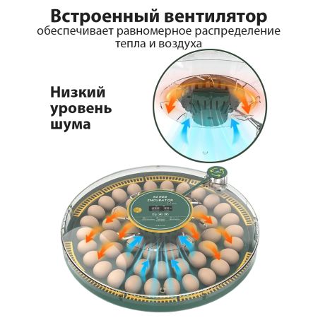 Инкубатор HHD 52H WONEGG автоматический 220В/12В от сети и аккумулятора, с овоскопом на 52 яйца