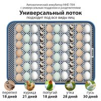 70H_3