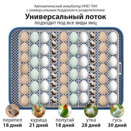 Инкубатор HHD 70H автоматический на 70 яиц, с контролем влажности и овоскопом на 220В/12В от сети и аккумулятора