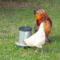 Кормушка бункерная 5 кг оцинкованная сталь