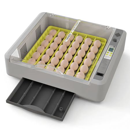 Инкубатор HHD 36 автоматический с овоскопом на 36 яиц