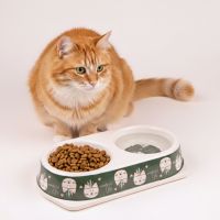 Миска двойная, 25х14х4.5 см, 180+180 мл, зеленый