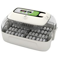 Инкубатор для яиц рептилий Rcom JURAGON MAX 60 автоматический