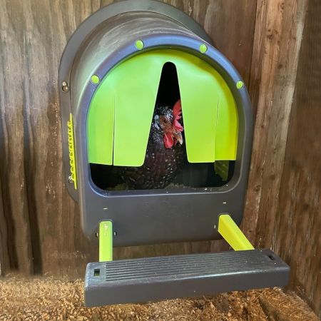 Гнездо для кур MyCozyNest пластиковое