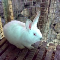 Планка для пола 