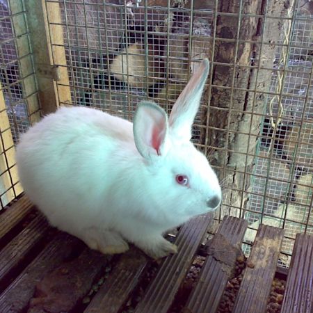 Планка для пола 