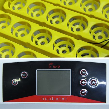 Инкубатор HHD 42A автоматический на 42 яйца