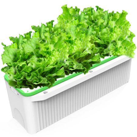 Гидропонная установка HobbyFarm DQ61005, домашний умный смарт сад, 5 ячеек