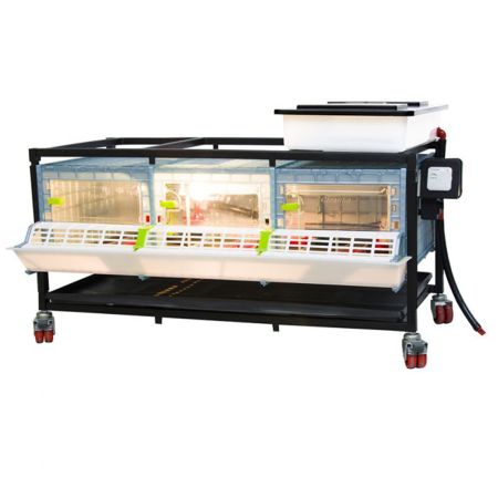 Брудер для цыплят CB25 3 секции, пластиковый