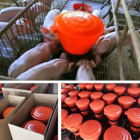 Кормушка автоматическая 5 кг для поросят, пластик