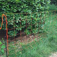 Сеть электрическая для овец и коз FarmGuard, 90 см / 50 м