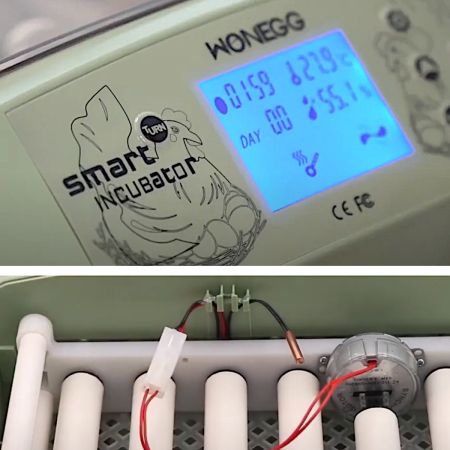 Инкубатор HHD 32 Wonegg автоматический для яиц с роликовым лотком, зеленый, на 32 яйца Инкубатор HHD 32 Wonegg автоматический для яиц с роликовым лотком, зеленый, на 32 яйца