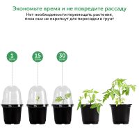 Горшки для рассады HobbyFarm с крышкой, 30 шт.